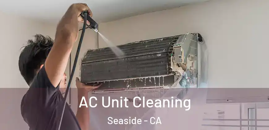  AC Unit Cleaning Seaside - CA